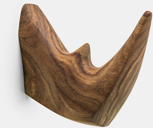 Rhino Heads